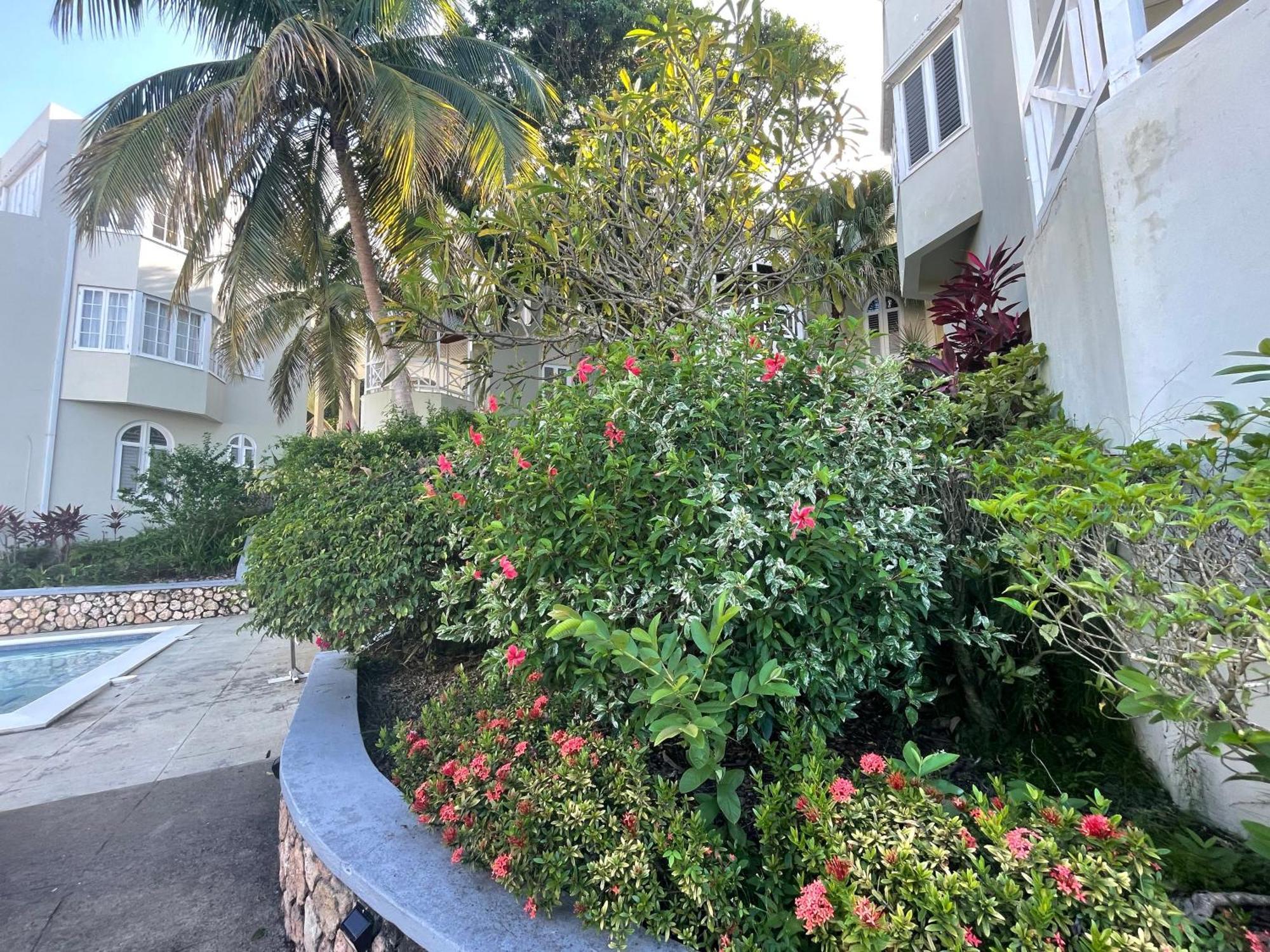 Oceanbreeze Jamaica Penthouse, 7-Minute Walk To Beach Очо-Риос Экстерьер фото